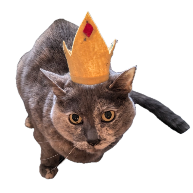 Grba wearing a felt crown